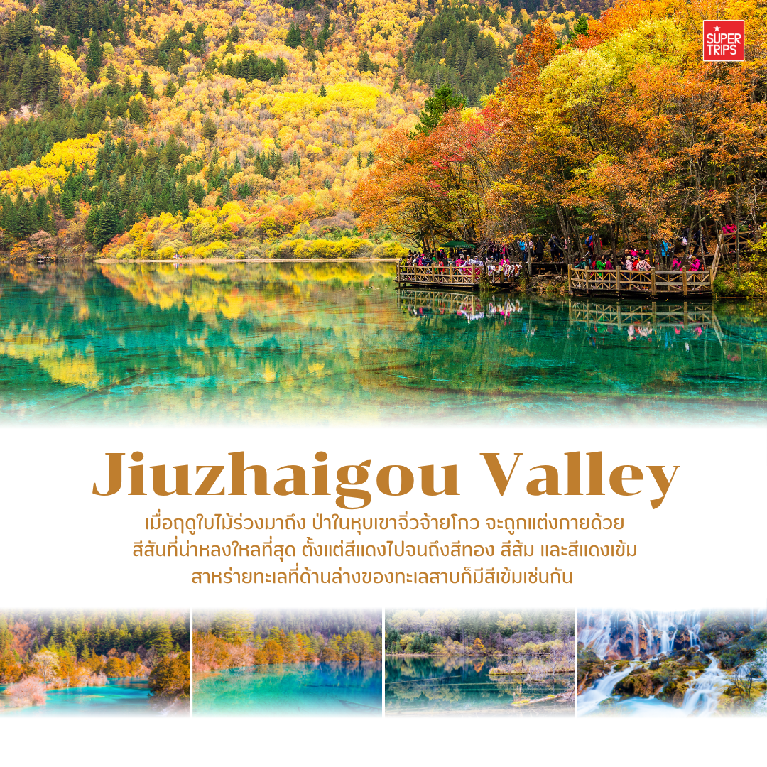 เที่ยวจีนใบไม้เปลี่ยนสี, ใบไม้เปลี่ยนสีจีน, เที่ยวจีน 2025, ภูเขาใบไม้เปลี่ยนสีจีน, ทัวร์จีนฤดูใบไม้ร่วง, กวงอู้ซาน, จิ่วจ้ายโกว, สี่ดารุณี, เส้นทางสายไหม