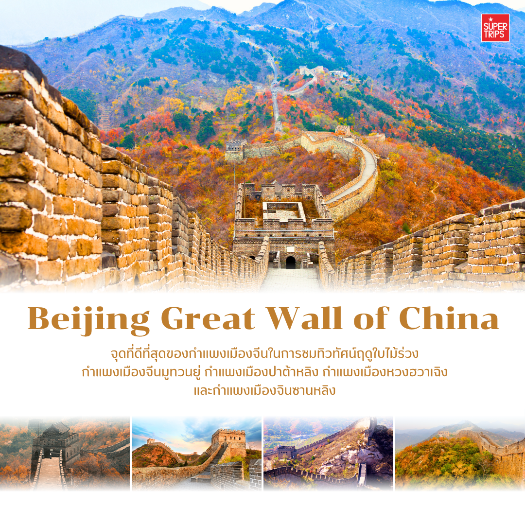 เที่ยวจีนใบไม้เปลี่ยนสี, ใบไม้เปลี่ยนสีจีน, เที่ยวจีน 2025, ภูเขาใบไม้เปลี่ยนสีจีน, ทัวร์จีนฤดูใบไม้ร่วง, กวงอู้ซาน, จิ่วจ้ายโกว, สี่ดารุณี, เส้นทางสายไหม