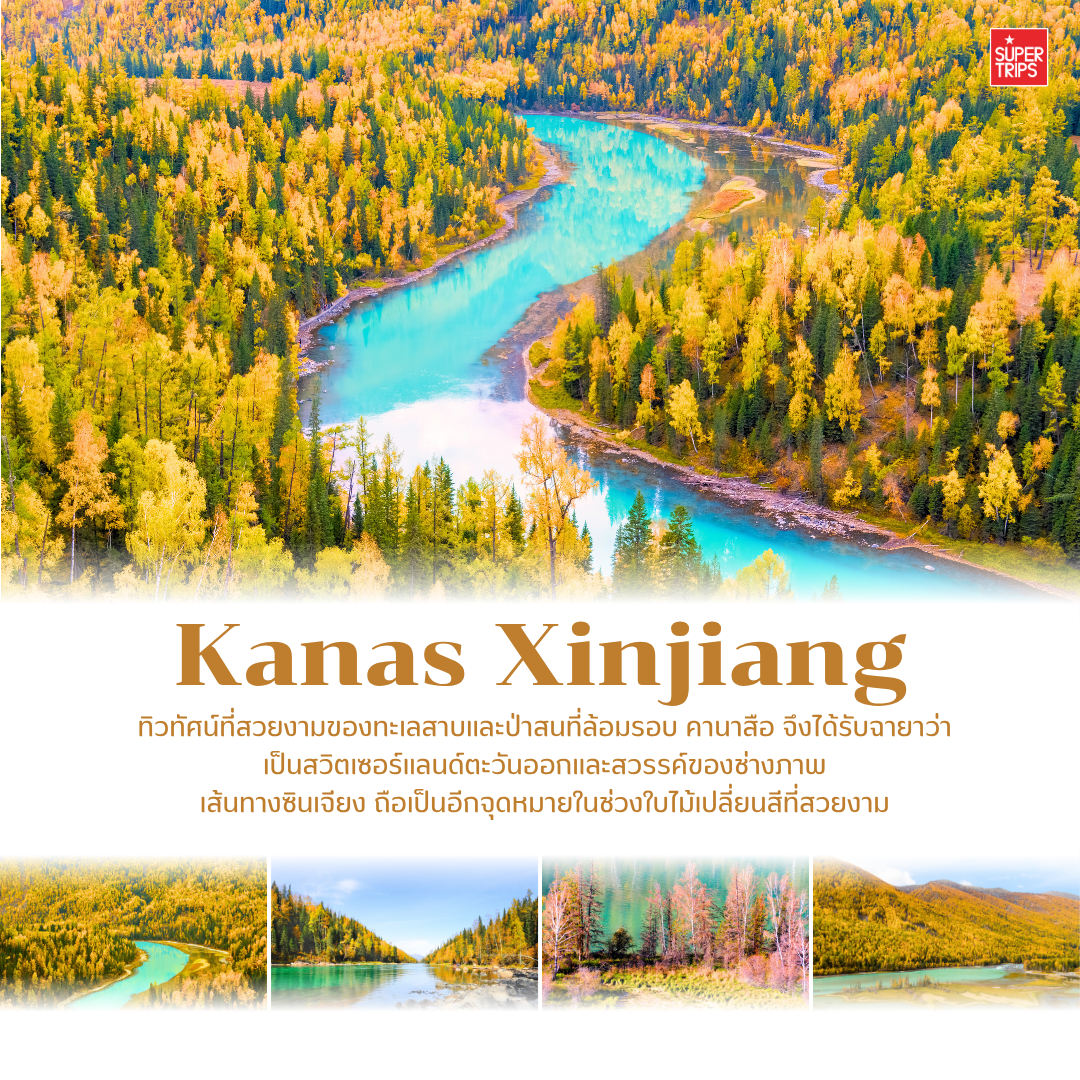 เที่ยวจีนใบไม้เปลี่ยนสี, ใบไม้เปลี่ยนสีจีน, เที่ยวจีน 2025, ภูเขาใบไม้เปลี่ยนสีจีน, ทัวร์จีนฤดูใบไม้ร่วง, กวงอู้ซาน, จิ่วจ้ายโกว, สี่ดารุณี, เส้นทางสายไหม