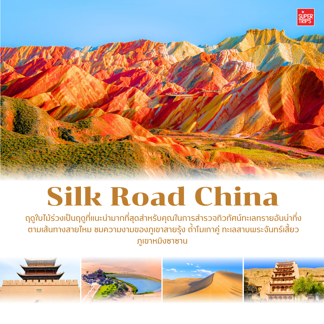 เที่ยวจีนใบไม้เปลี่ยนสี, ใบไม้เปลี่ยนสีจีน, เที่ยวจีน 2025, ภูเขาใบไม้เปลี่ยนสีจีน, ทัวร์จีนฤดูใบไม้ร่วง, กวงอู้ซาน, จิ่วจ้ายโกว, สี่ดารุณี, เส้นทางสายไหม