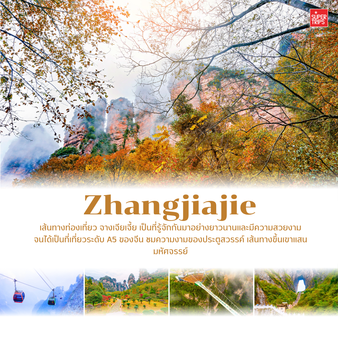 เที่ยวจีนใบไม้เปลี่ยนสี, ใบไม้เปลี่ยนสีจีน, เที่ยวจีน 2025, ภูเขาใบไม้เปลี่ยนสีจีน, ทัวร์จีนฤดูใบไม้ร่วง, กวงอู้ซาน, จิ่วจ้ายโกว, สี่ดารุณี, เส้นทางสายไหม