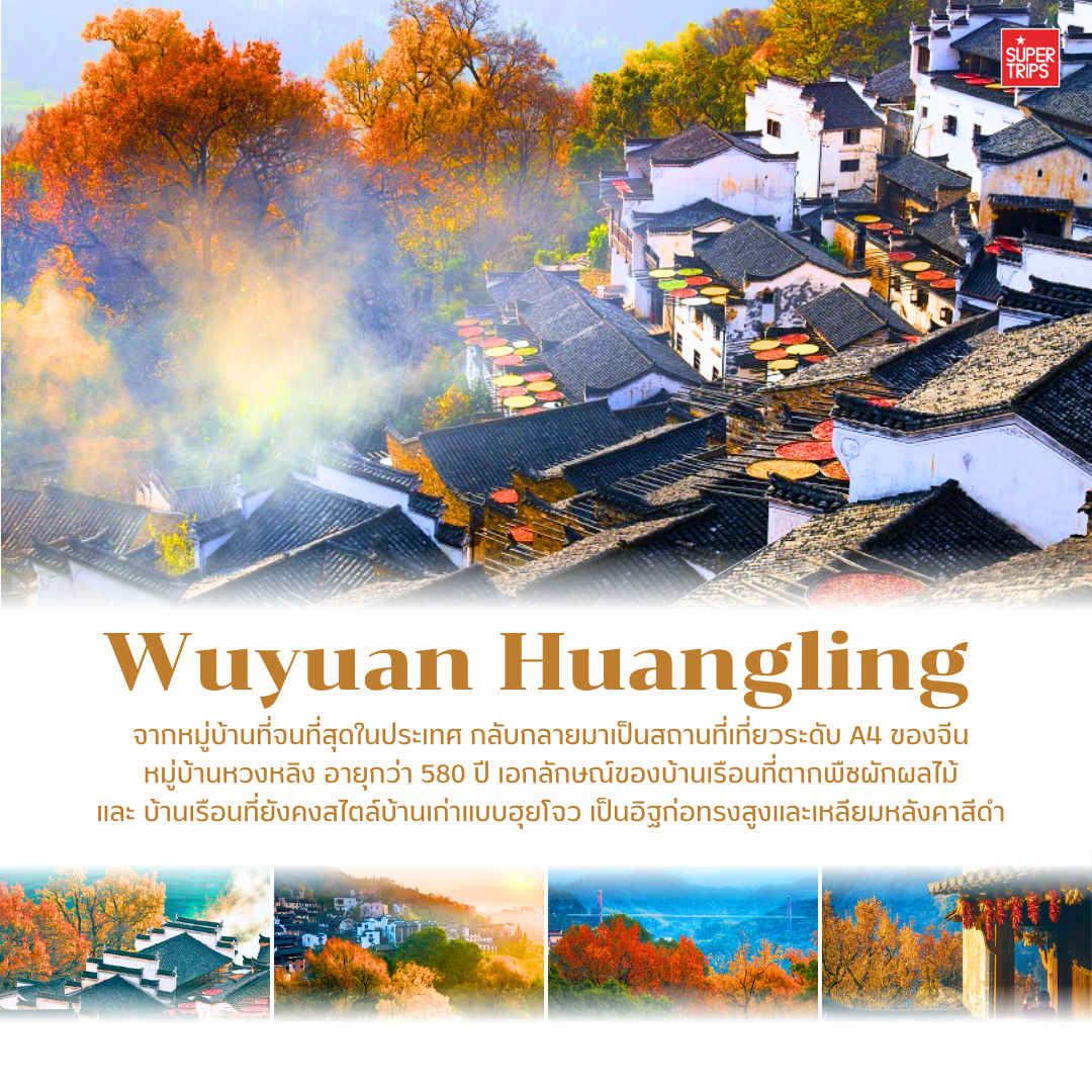 เที่ยวจีนใบไม้เปลี่ยนสี, ใบไม้เปลี่ยนสีจีน, เที่ยวจีน 2025, ภูเขาใบไม้เปลี่ยนสีจีน, ทัวร์จีนฤดูใบไม้ร่วง, กวงอู้ซาน, จิ่วจ้ายโกว, สี่ดารุณี, เส้นทางสายไหม