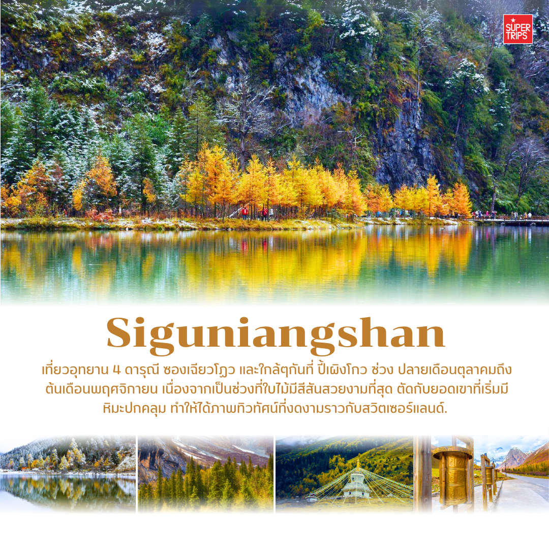 เที่ยวจีนใบไม้เปลี่ยนสี, ใบไม้เปลี่ยนสีจีน, เที่ยวจีน 2025, ภูเขาใบไม้เปลี่ยนสีจีน, ทัวร์จีนฤดูใบไม้ร่วง, กวงอู้ซาน, จิ่วจ้ายโกว, สี่ดารุณี, เส้นทางสายไหม