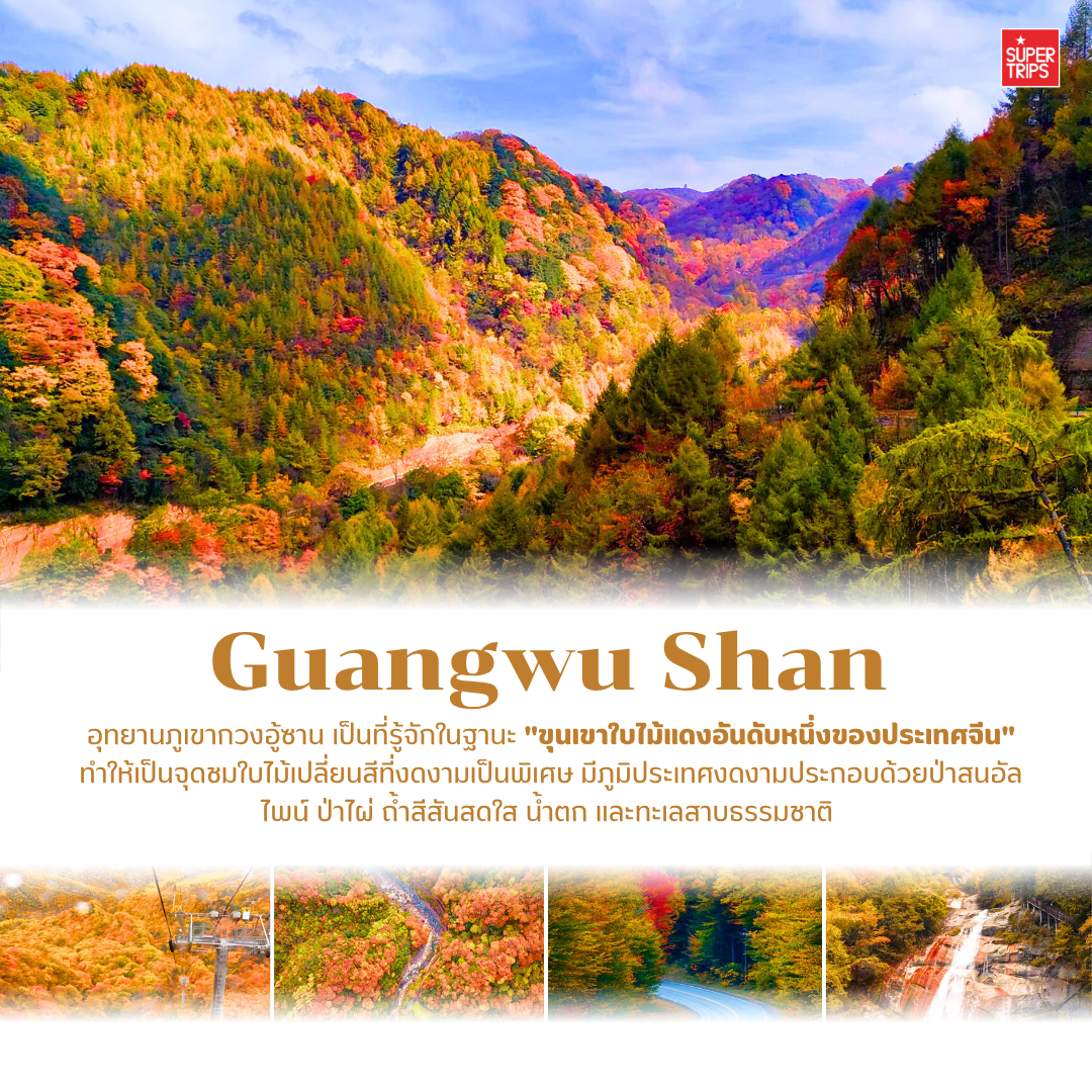 เที่ยวจีนใบไม้เปลี่ยนสี, ใบไม้เปลี่ยนสีจีน, เที่ยวจีน 2025, ภูเขาใบไม้เปลี่ยนสีจีน, ทัวร์จีนฤดูใบไม้ร่วง, กวงอู้ซาน, จิ่วจ้ายโกว, สี่ดารุณี, เส้นทางสายไหม