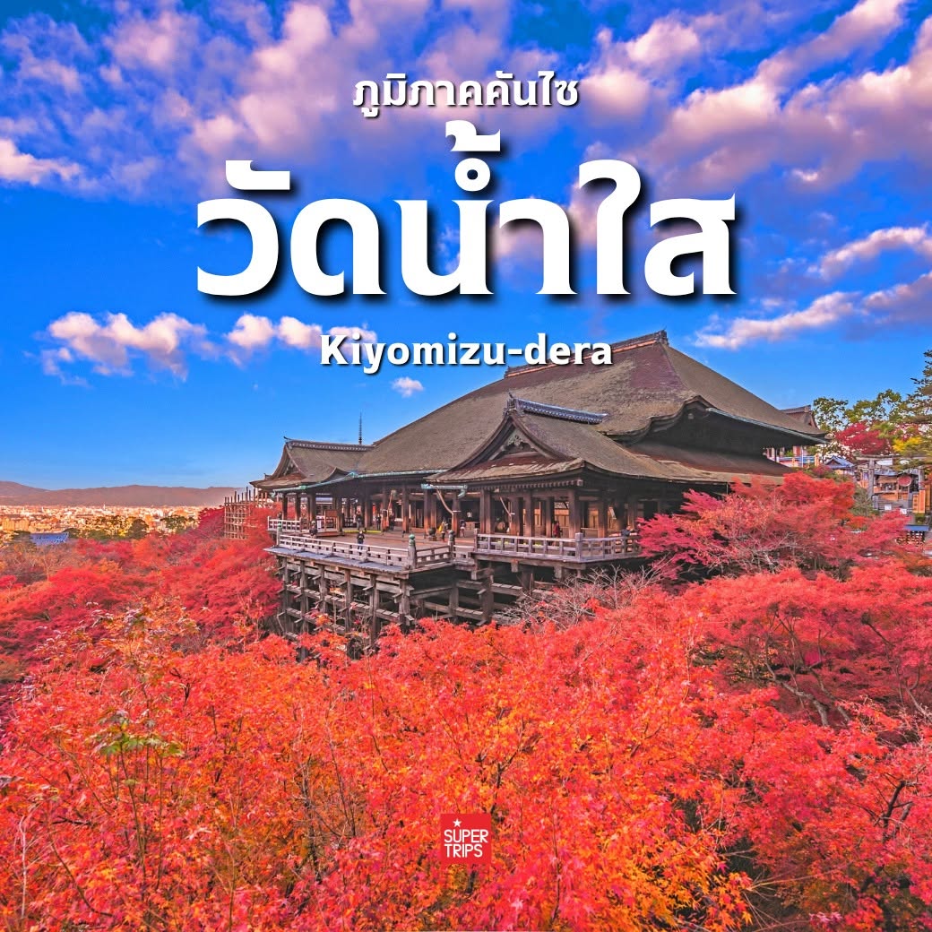 ใบไม้เปลี่ยนสี ญี่ปุ่น, เที่ยวคันไซ ใบไม้แดง, ชิราคาวาโกะ ใบไม้เปลี่ยนสี, โครังเค ใบไม้แดง, ซากุระ โอบาระ, supertrips, ซูเปอร์ทริปส์