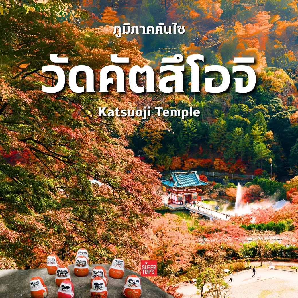 ใบไม้เปลี่ยนสี ญี่ปุ่น, เที่ยวคันไซ ใบไม้แดง, ชิราคาวาโกะ ใบไม้เปลี่ยนสี, โครังเค ใบไม้แดง, ซากุระ โอบาระ, supertrips, ซูเปอร์ทริปส์
