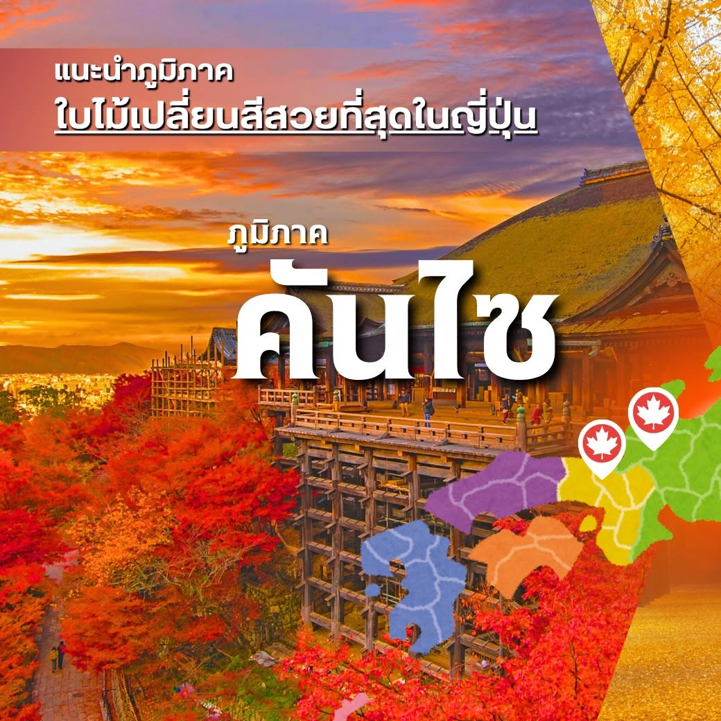 ใบไม้เปลี่ยนสี ญี่ปุ่น, เที่ยวคันไซ ใบไม้แดง, ชิราคาวาโกะ ใบไม้เปลี่ยนสี, โครังเค ใบไม้แดง, ซากุระ โอบาระ, supertrips, ซูเปอร์ทริปส์