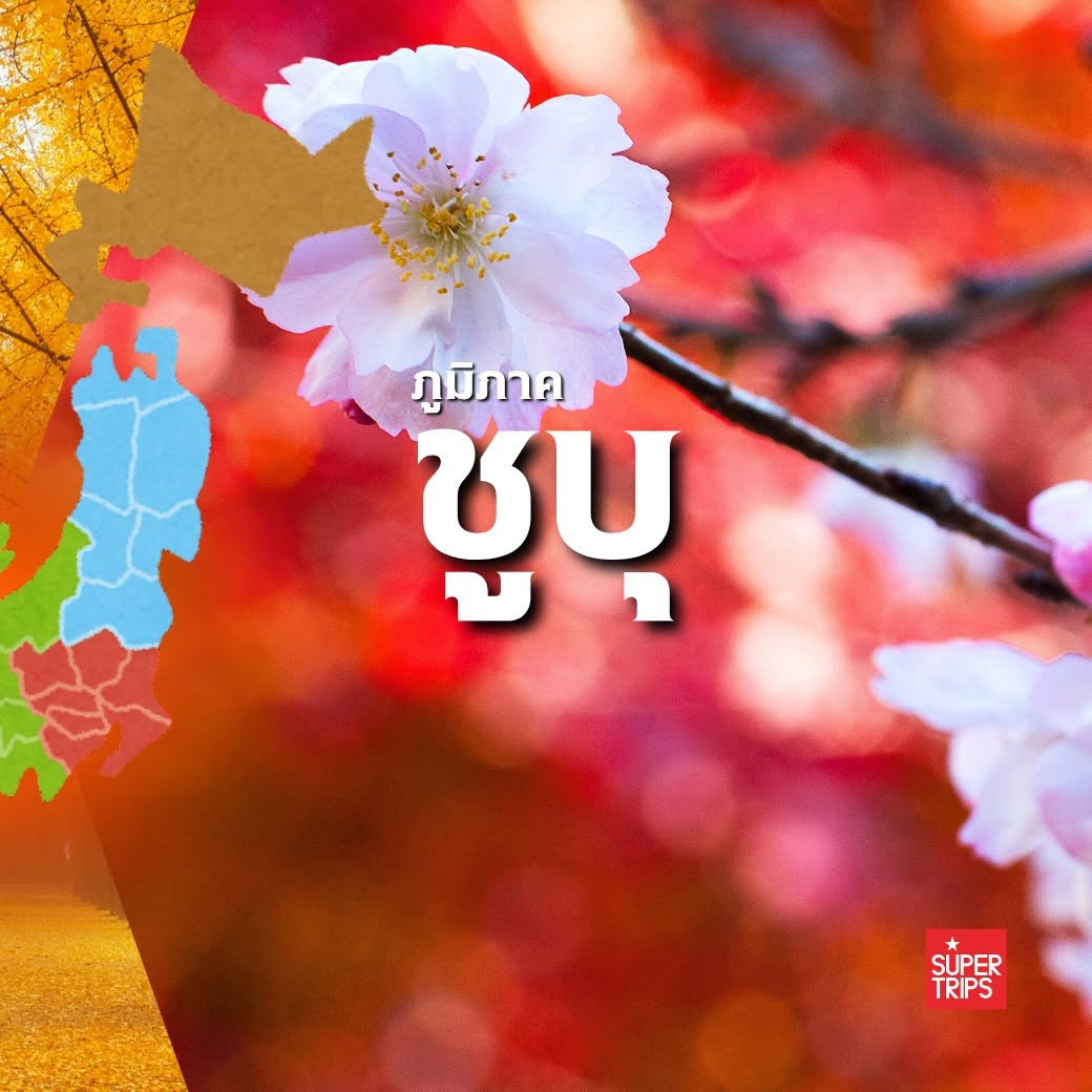 ใบไม้เปลี่ยนสี ญี่ปุ่น, เที่ยวคันไซ ใบไม้แดง, ชิราคาวาโกะ ใบไม้เปลี่ยนสี, โครังเค ใบไม้แดง, ซากุระ โอบาระ, supertrips, ซูเปอร์ทริปส์