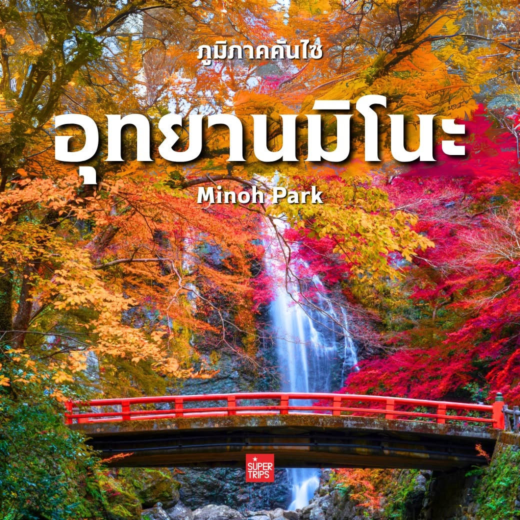 ใบไม้เปลี่ยนสี ญี่ปุ่น, เที่ยวคันไซ ใบไม้แดง, ชิราคาวาโกะ ใบไม้เปลี่ยนสี, โครังเค ใบไม้แดง, ซากุระ โอบาระ, supertrips, ซูเปอร์ทริปส์